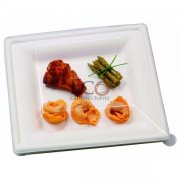 Sugar Cane Square Plate - 10.2 X 10.2 - 250/CS