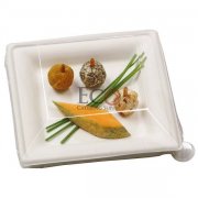 Sugar Cane Square Plate - 6.3 X 6.3 - 500/CS