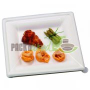 LID FOR Sugar Cane Square Plate - 10.2 X 10.2 - 250/CS